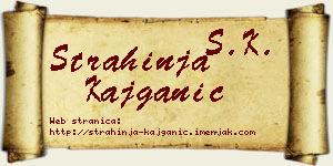 Strahinja Kajganić vizit kartica